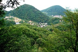 село Шаян